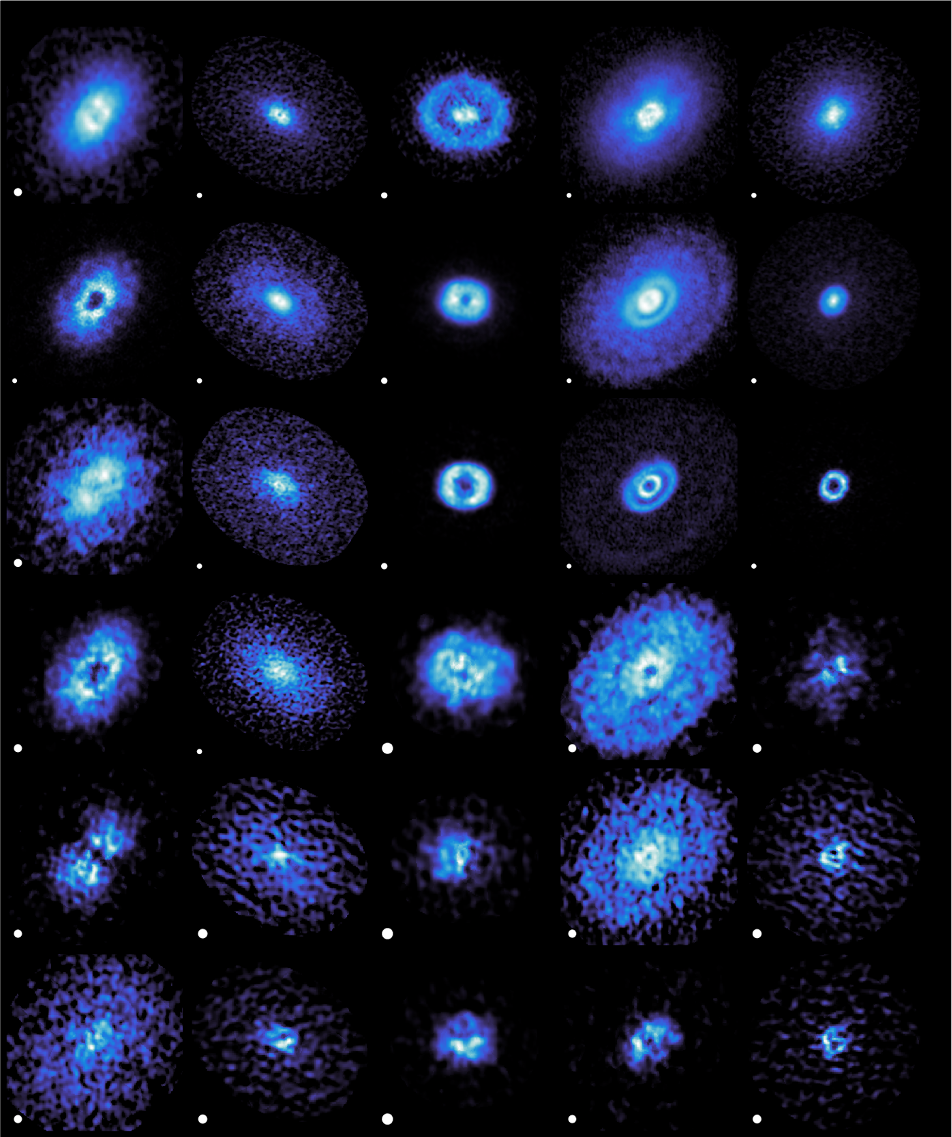 A gallery of chemical substructures in the five protoplanetary disks surveyed by the MAPS LP.